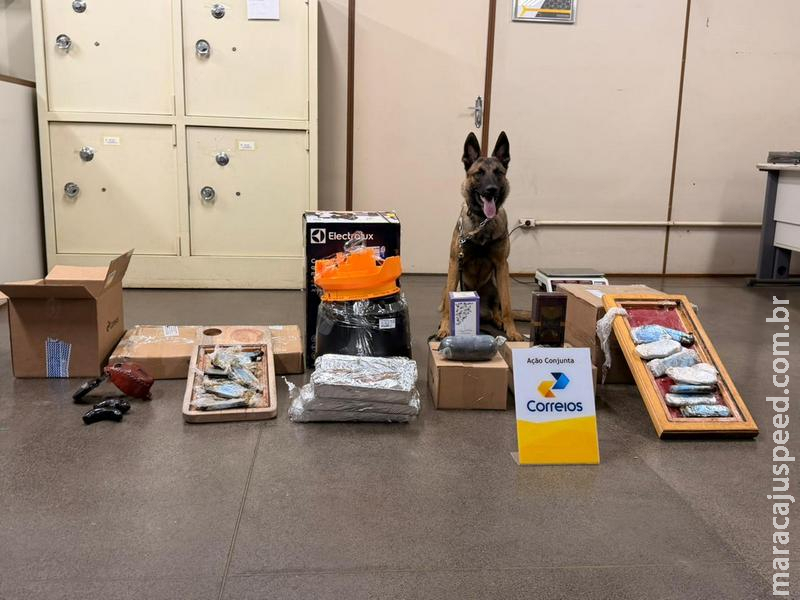 Polícia Civil, com apoio dos Correios, identifica drogas em encomendas despachadas