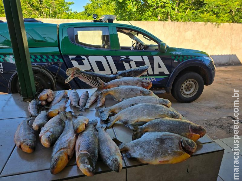 Polícia Militar Ambiental apreende 27 kg de pescado irregular em rancho de Águas do Miranda