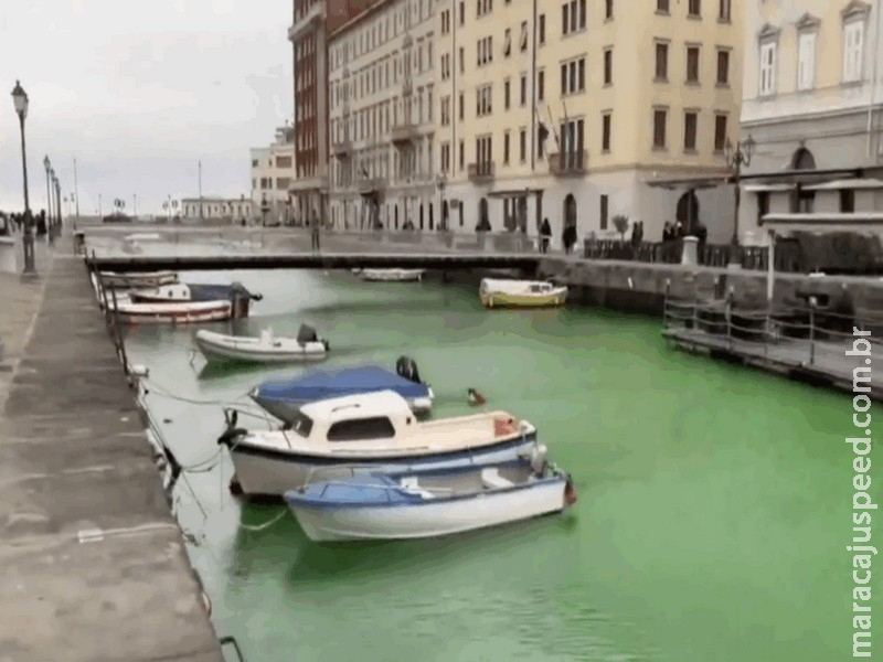 Veneza expulsa Greta da cidade após ativista tingir canal de verde