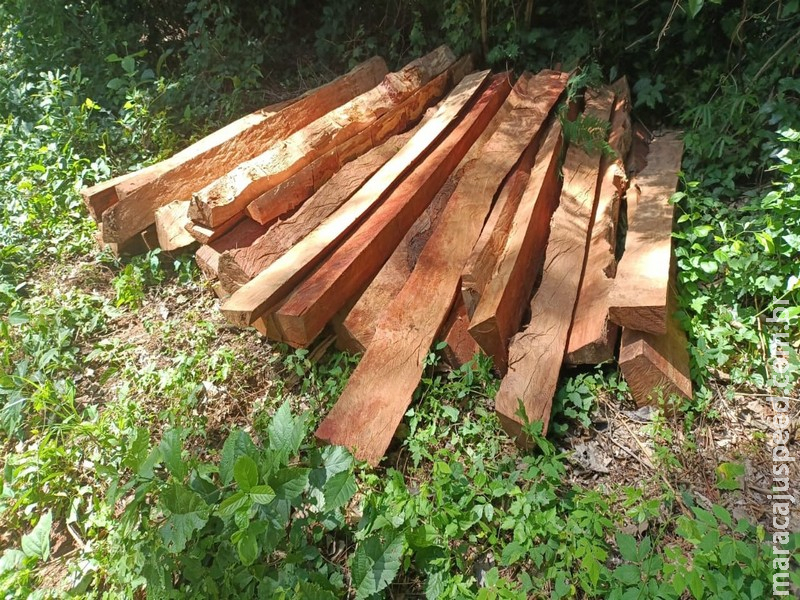 Ação conjunta flagra crimes ambientais e apreende armas em propriedade rural de Bela Vista