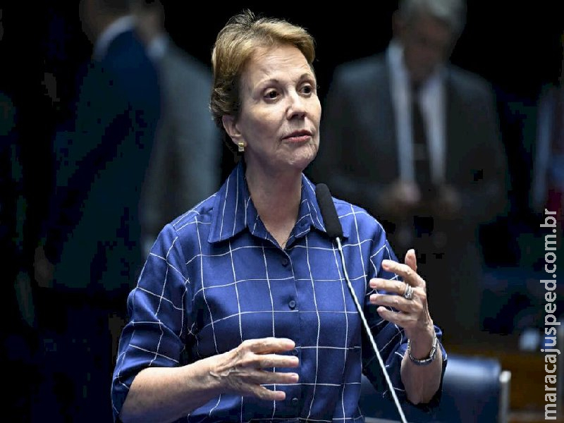 Agronegócio de MS e nacional quer o nome de Tereza como pré-candidata a vice-presidente da República