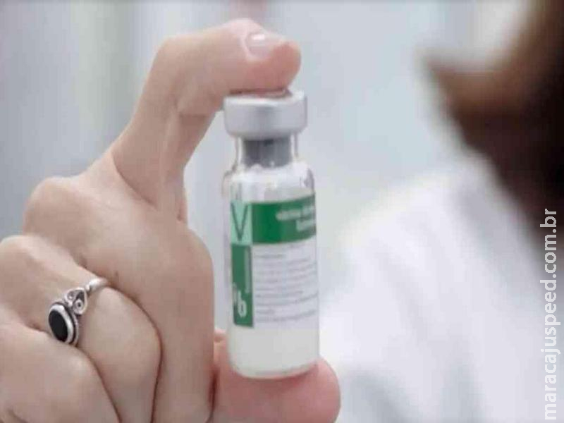 Anvisa libera registro da vacina contra a dengue do Butantan