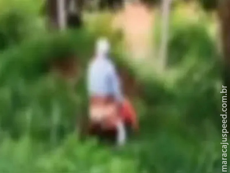 Casal de idosos é flagrado fazendo sexo ao ar livre à luz do dia