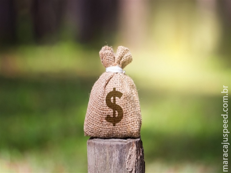  Cenário de crédito rural registra retração no semestre