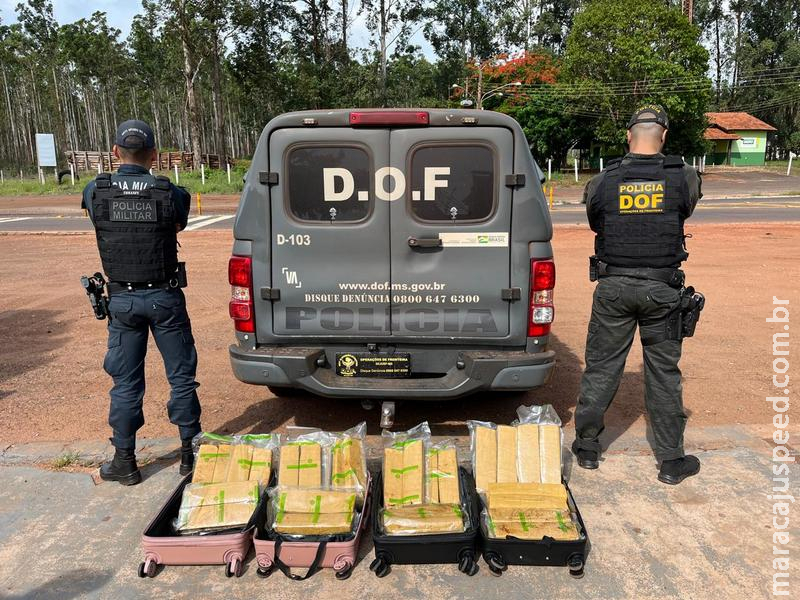 DOF apreende 33,8 kg de maconha em ônibus e prende jovem que levaria droga para Maracaju