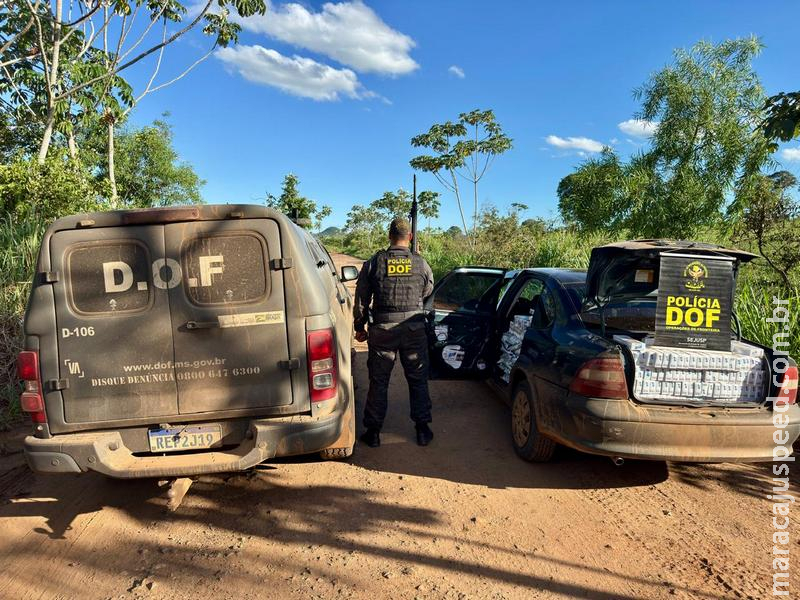 DOF apreende carro carregado com cigarros e agrotóxicos em aldeia indígena
