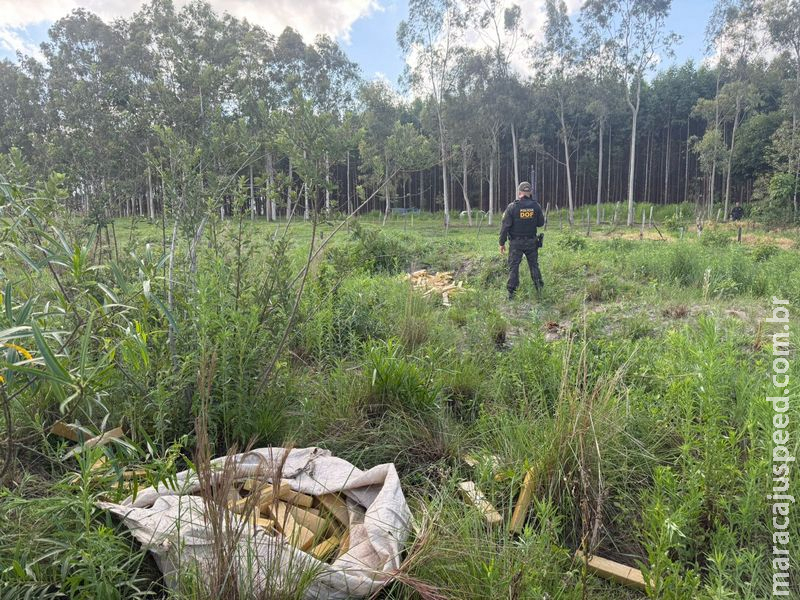 DOF apreende mais de 300 quilos de droga após veículo ficar atolado