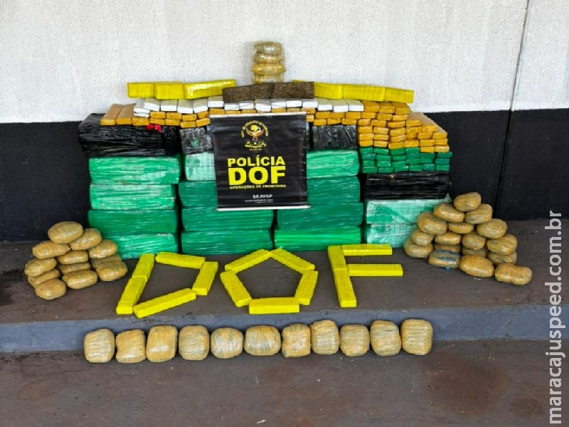 DOF apreende mais de meia tonelada de drogas em carro roubado no Paraná