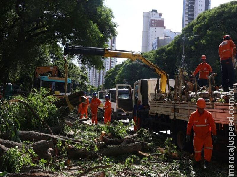 Dois dias após ciclone, SP ainda tem 800 mil moradores sem energia
