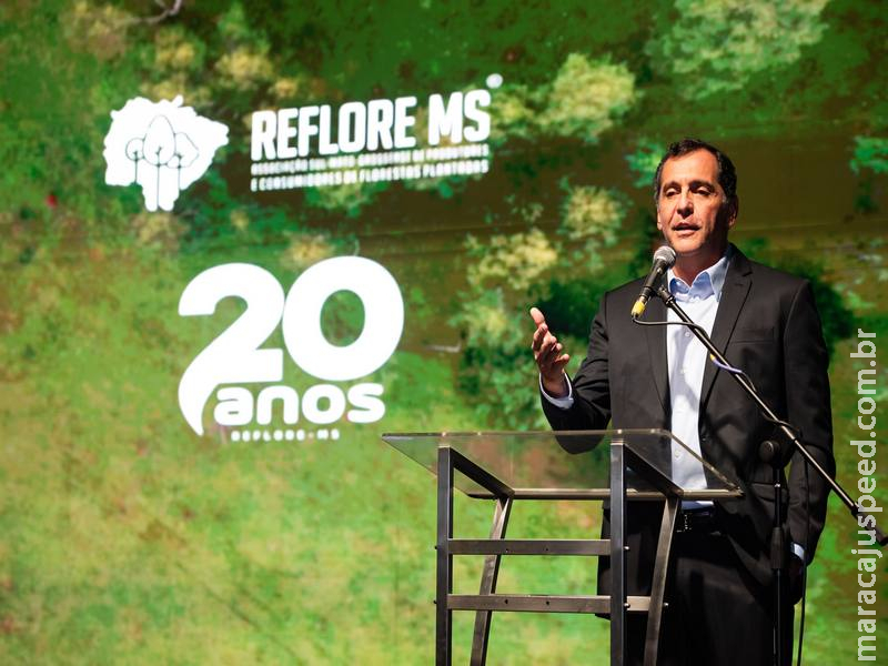 Duas décadas de articulação e crescimento: Reflore/MS comemora 20 anos com homenagens e de olho no futuro