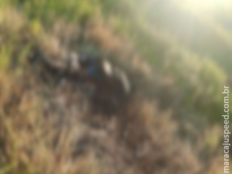 Homem é encontrado carbonizado às margens da MS-165 após sair para fazer cobrança