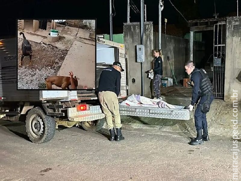 Idosa é atacada pelos próprios cães e morre no Mato Grosso  