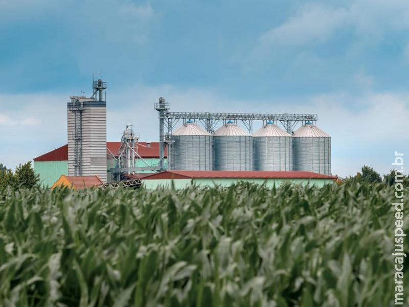 Investimento agrícola cresce 26% em Mato Grosso do Sul