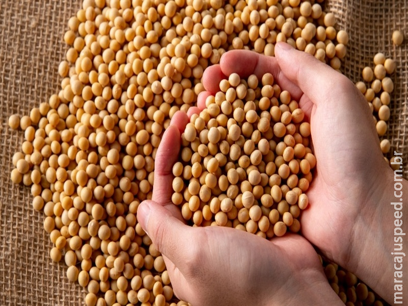 Mercados agrícolas iniciam semana com ajustes e cautela