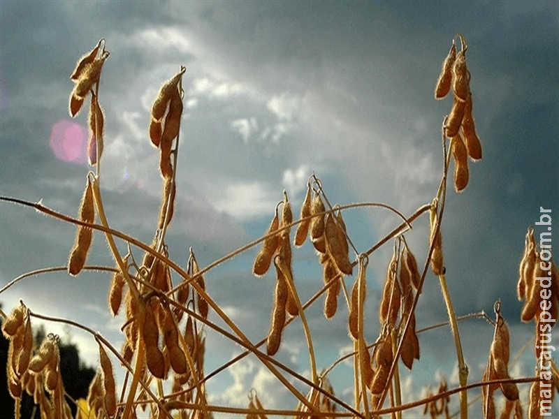  Mercados iniciam dia com volatilidade moderada