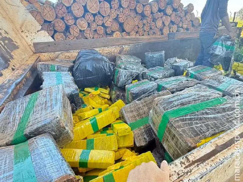 Meses de apreensões viram cinzas: 2 toneladas de maconha são incineradas em forno industrial