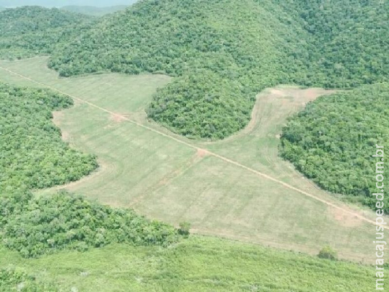 Monitoramento aponta alerta ambiental para rios que atraem 90% dos turistas para o MS