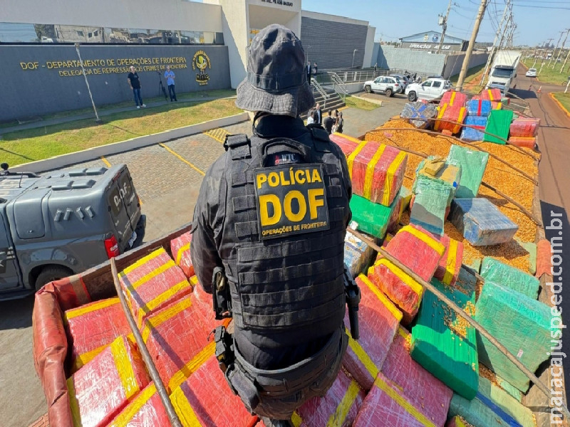 MS atinge marca histórica com 196 toneladas de droga apreendidas em 2025