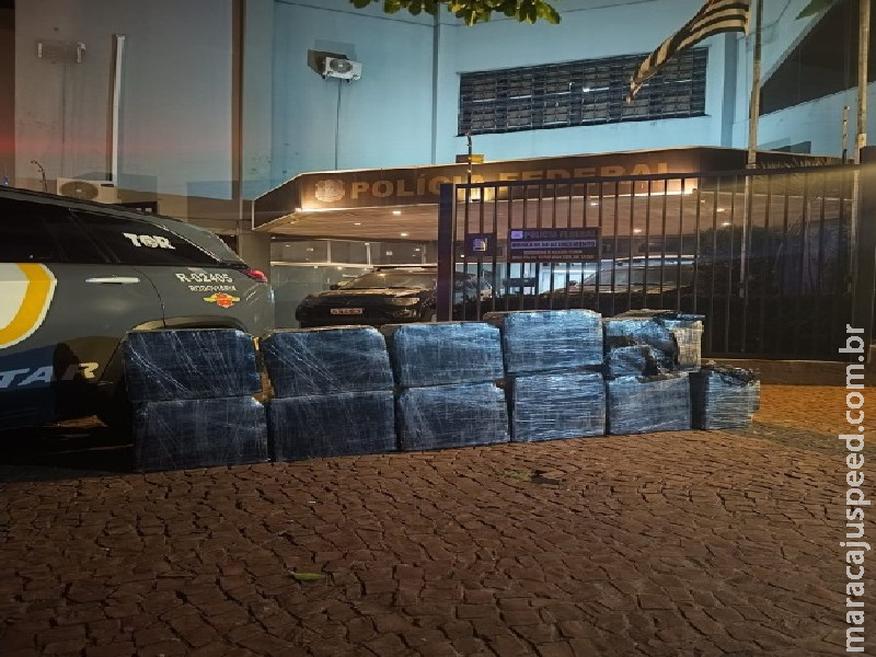 PF coordena apreensão de 350 kg de droga em São Paulo