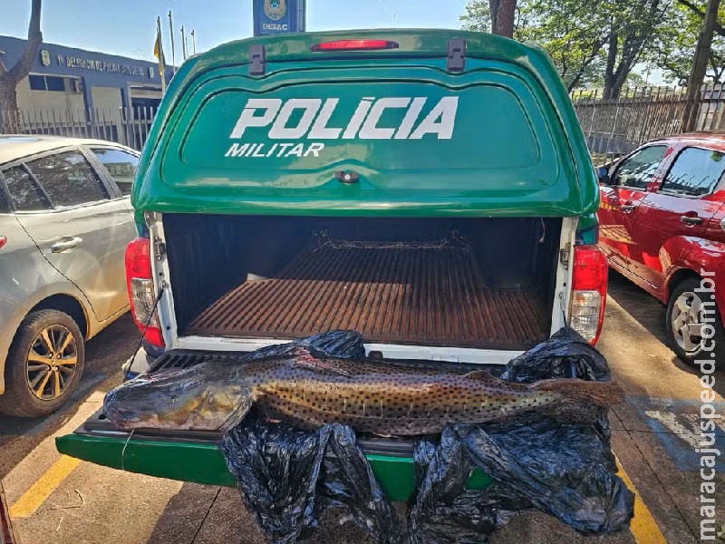 Pintado de 21 kg que rendeu multa de R$ 33 mil é doado e vira refeição em hospital de MS