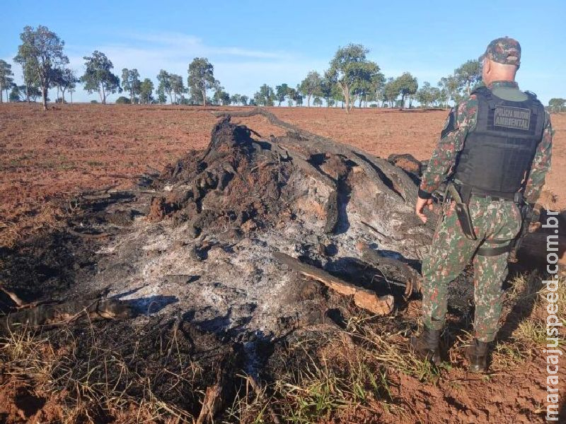 PMA autua responsável por queimada irregular durante operação 