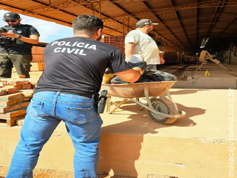 Polícia Civil incinera mais de 145kg de entorpecentes em Rio Verde de Mato Grosso