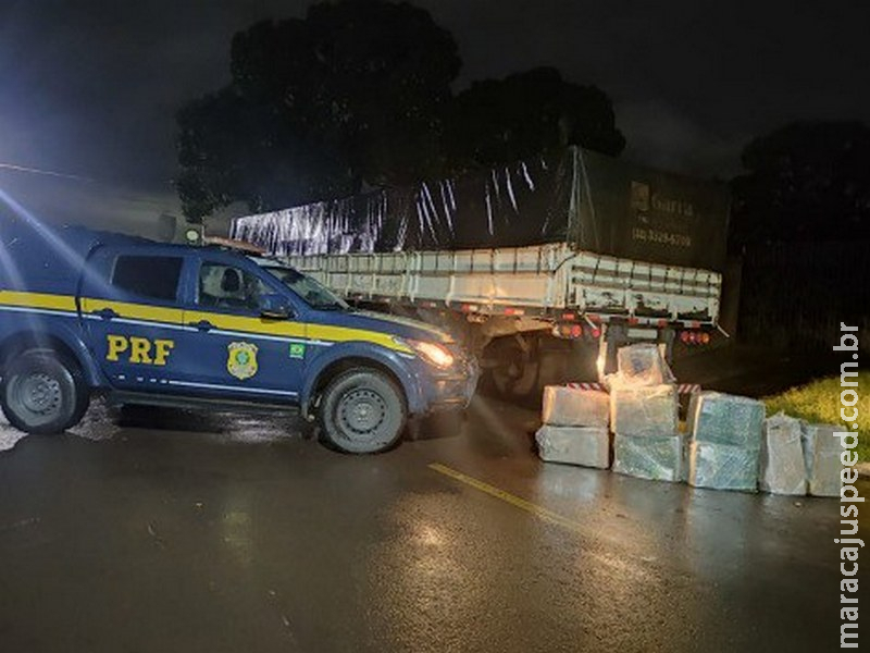 PRF apreende 241 Kg de maconha em Ribas do Rio Pardo (MS)