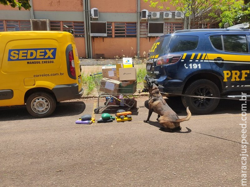 PRF apreende encomendas com drogas em Campo Grande (MS)