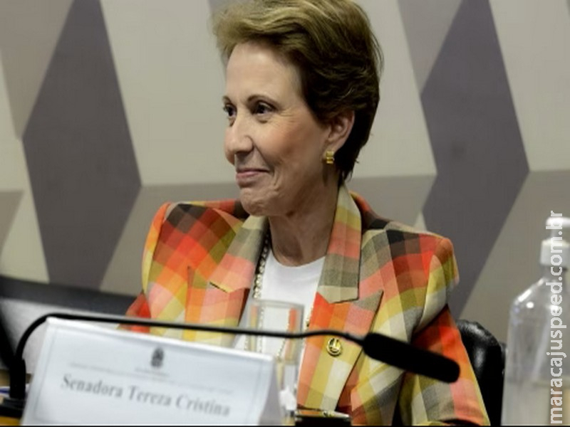 Senado cria campanha “Julho Dourado” sobre saúde de pets