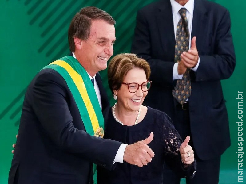 Tereza Cristina surge como peça-chave e pode reforçar chapa de Flávio Bolsonaro em 2026