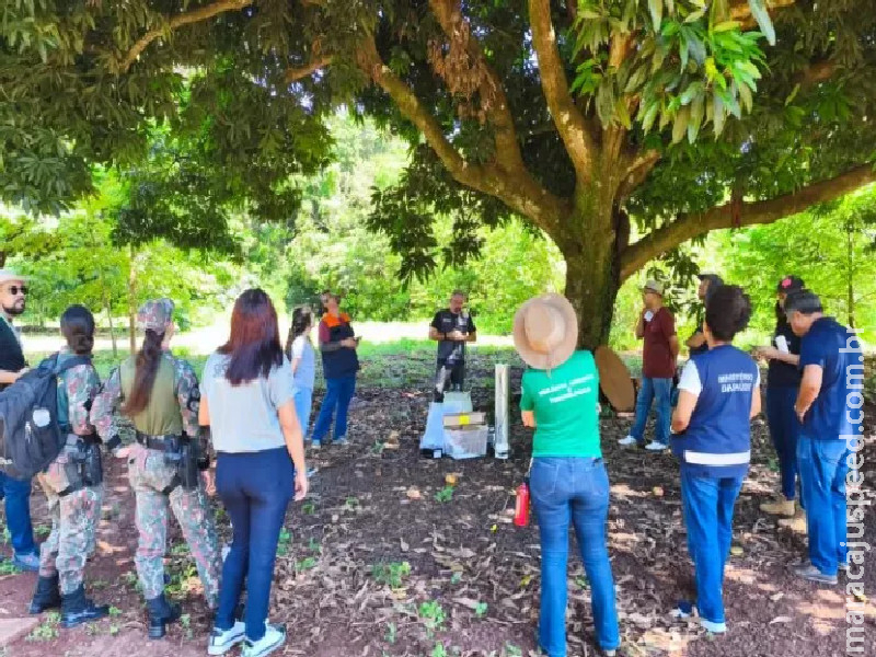 Treinamento reforça vigilância de arboviroses zoonóticas com foco na vigilância animal