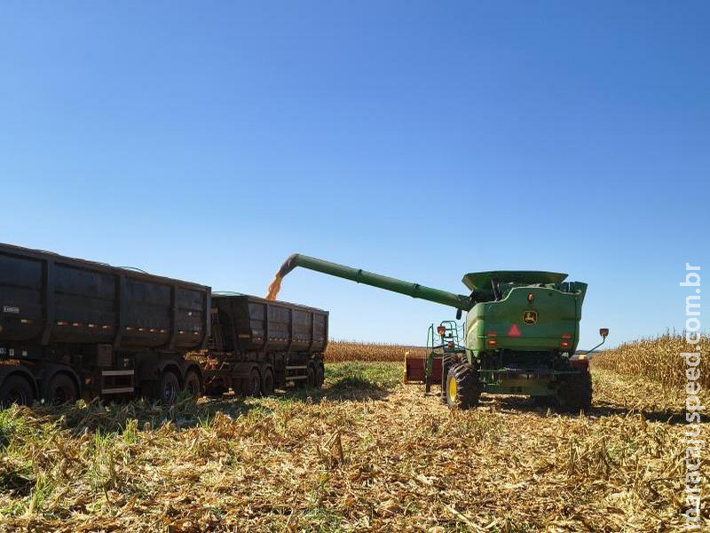 Valor Bruto da Produção cresce 26% em Mato Grosso do Sul