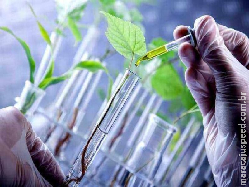 Bioinsumos ganham espaço e já fazem parte da estratégia produtiva do agro brasileiro
