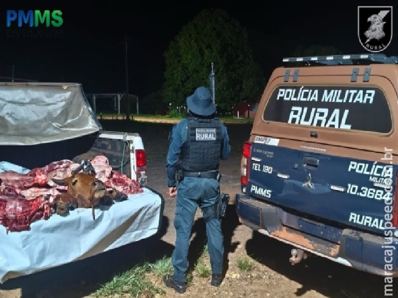 BPM Rural prende homem por furto de gado (abigeato) e posse irregular de arma de fogo