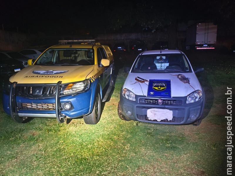 BPMRv localiza veículo com animal silvestre abatido e encaminha ocorrência à Polícia Civil