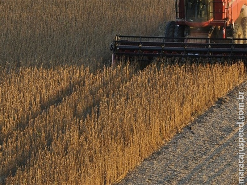  Centro-Oeste lidera produção de grãos, mas milho perde força com clima adverso