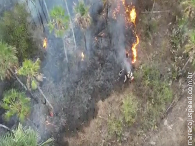 Com difícil acesso, Bombeiros usam cavalos para chegar a foco de incêndio no Nabileque