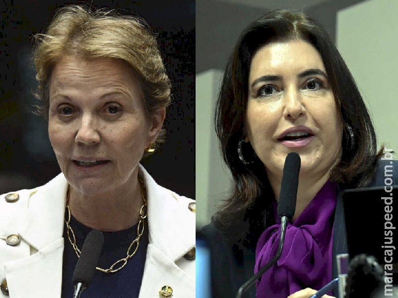 Com Flávio Bolsonaro no páreo, Tereza e Simone ganham força nacionalmente 