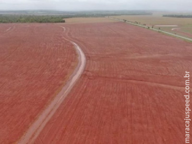 Com forte demanda do campo, FCO teve recorde de financiamentos no Estado em 2025 