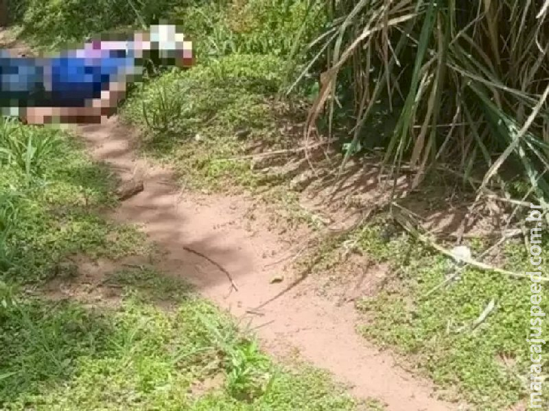 Corpo de mulher de 75 anos é encontrado degolado na fronteira 