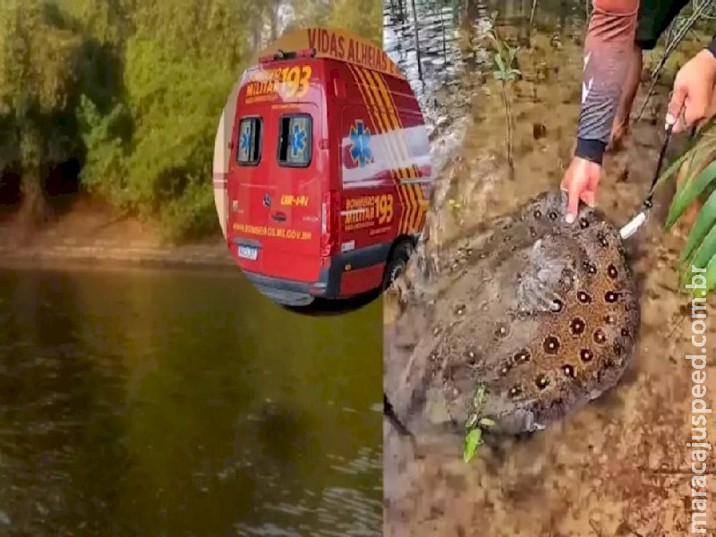  Crianças são atacadas por arraia em rio de Aquidauana e ficam feridas nos pés 