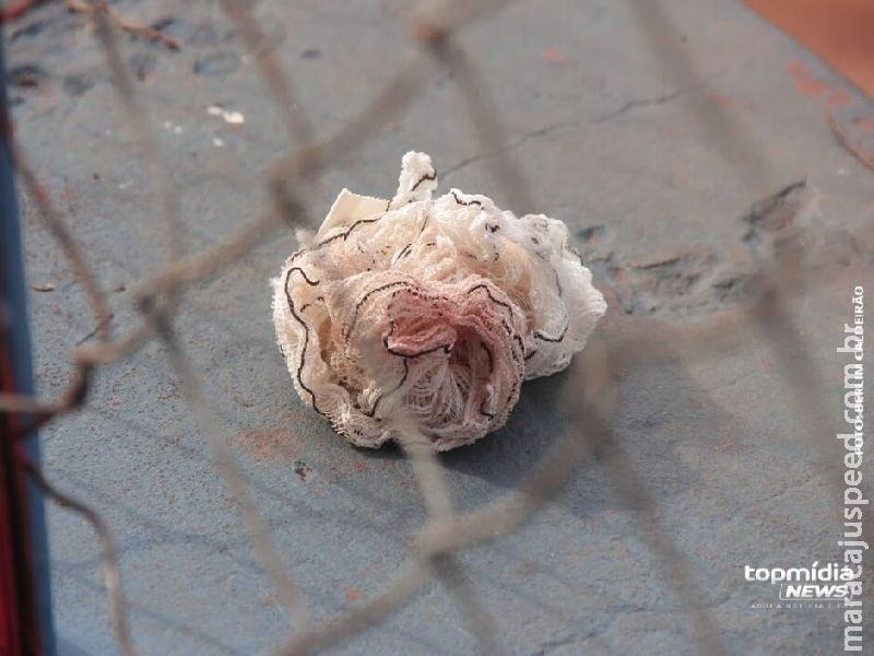 Diarista é agredida e tem corte profundo no rosto em briga com cunhada em Campo Grande  