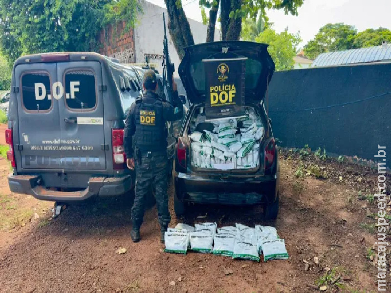 DOF apreende 700 quilos de agrotóxicos no Assentamento Itamarati