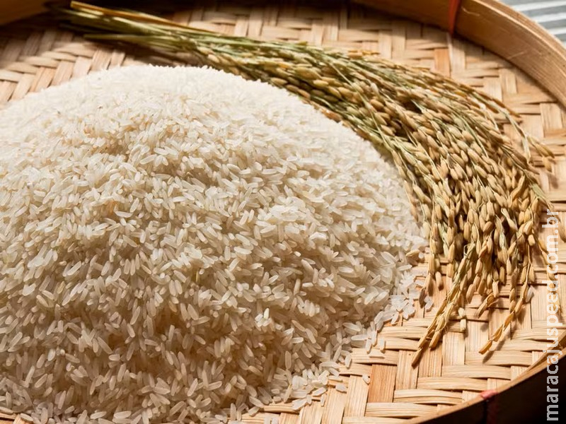 Exportações de arroz cresceram em 2025, mas receita dos embarques caiu