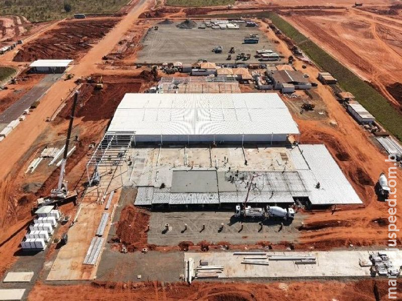 Gigante da celulose investe R$ 770 milhões na compra de vagões  