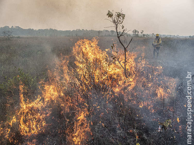 Governo federal falhou na prevenção de catástrofes no Pantanal, diz TCU 