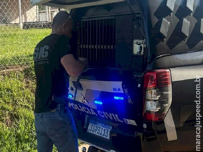 Homem é preso ao ser flagrado se masturbando na frente de vizinhos em Anaurilândia 