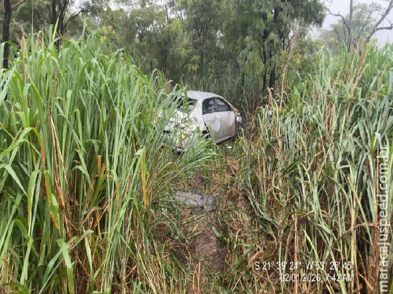 Motorista perde controle de carro e para em meio ao mato na BR-267