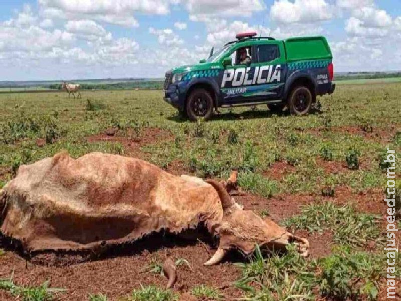 Novas regras do Código Florestal entram em vigor e ampliam exigências ambientais no campo e nas cidades