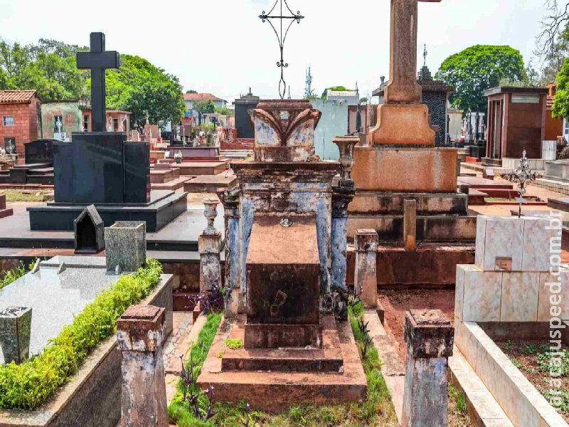 Ossada é encontrada embaixo de árvore no Cemitério Santo Amaro; polícia suspeita de ritual religioso